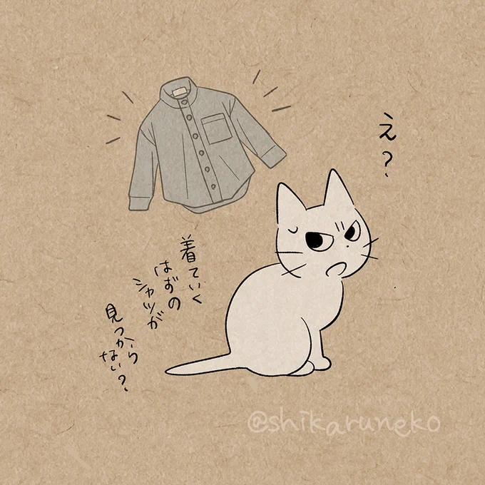 持ってるはずの服が見つからない人を叱ってくれる猫