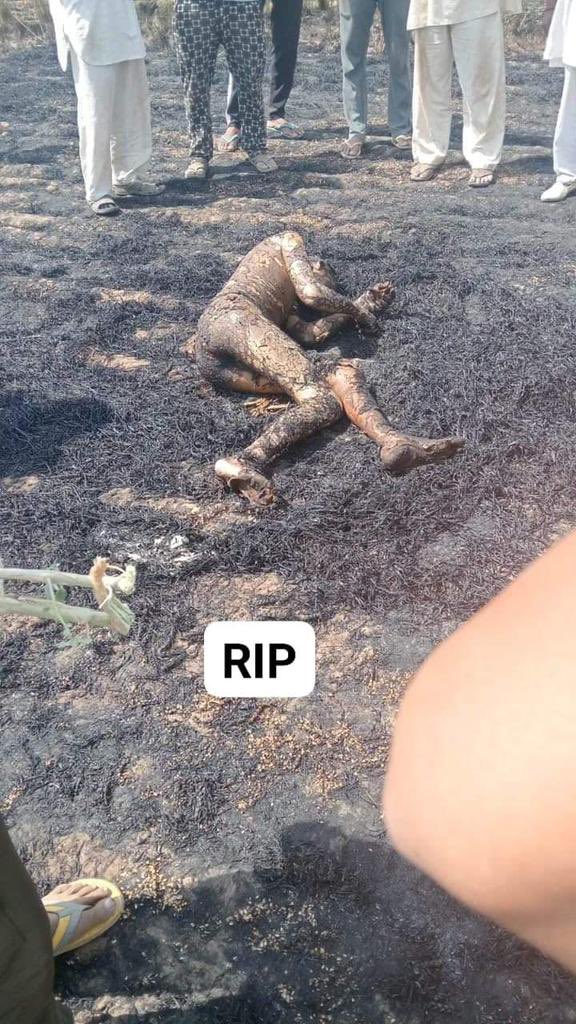 In village Santoor, Dadri, Haryana Jaiprakash's ripe crop caught fire, he lost life while saving crop grown with hard work. In country where farmers don't even get MSP, what can we say about compensation for farmer's life in that country! #FarmersProtest2024 #LegalizeMSP