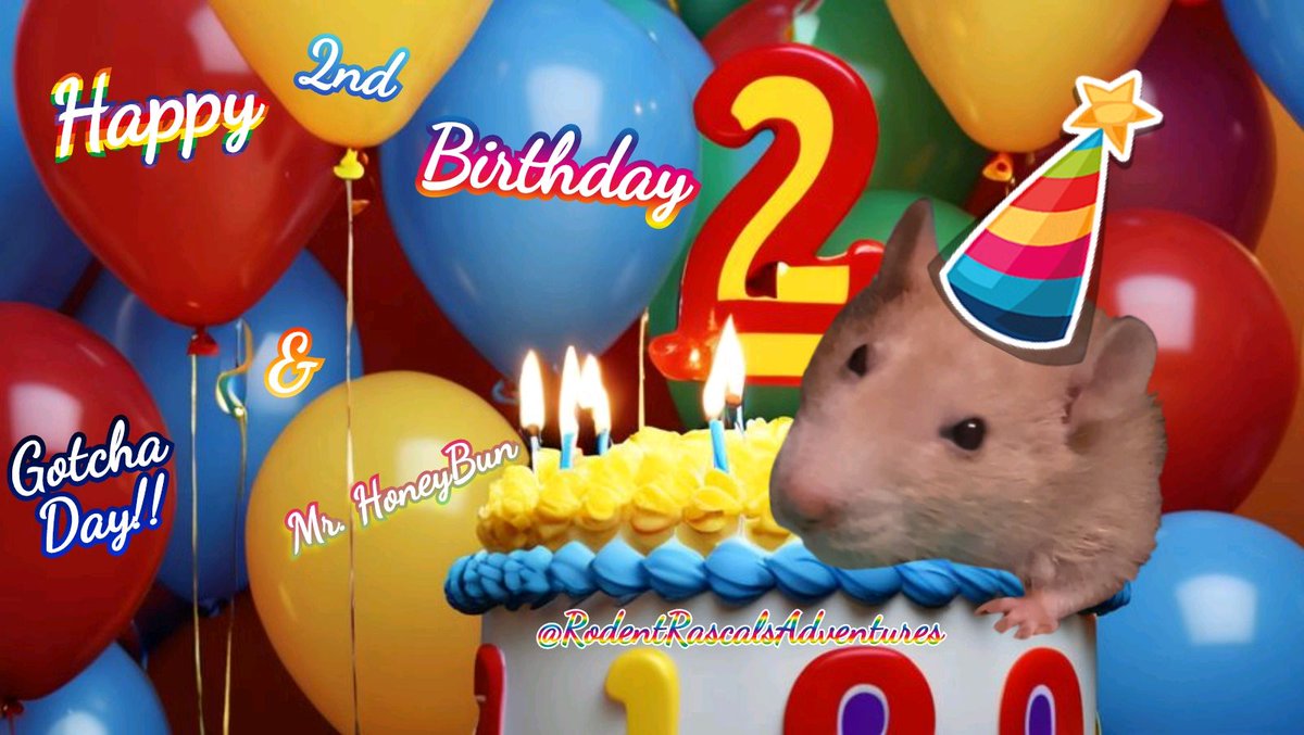 🆕️🎂🐁 #WednesdayMotivation 🍾 So, Mama caught a cold and couldn't give me my Birthday Kisses, but she still made sure I got to enjoy my celebration time!! I'll have even more next week too!! #HappyRat #rat #ratlife #BirthdayBoy #petrats 
❤️🐹🐽🐀💻⬇️
#RodentRascalsAdventures