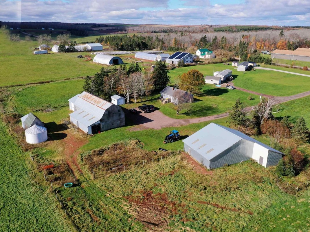 *POSSIBILITIES ARE ENDLESS* HOBBYFARM FOR SALE!
farmmarketer.com/listing/fm/178…

Farm Type: Hobbyfarm
Acreage (Total): 157 
Province: P.E.I.
Agent: Roy Artz

#Findyourdreamproperty #farmmarketer #farmrealestate #farmrealtor #cdnfarmers #farmlife #farmlifeisthebest #farm365 #forsale