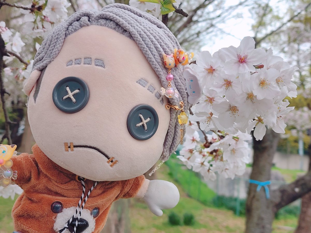 𝓼𝓸 𝓬𝓾𝓽𝓮
#第五仲間と桜前線を追いかけ
#第五人格 
#IdentityV