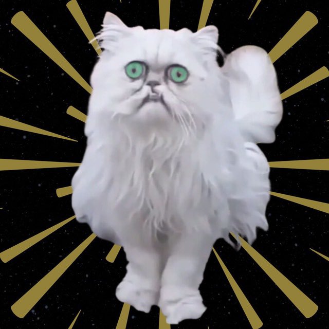<a href="/itstylersays/">tmas 👁</a> Wilfred $WILF

Wilfred cat. Famous meme as featured in viral video. Chart near highs, find safe entry. Community links below, dyor.

t.me/TheWilfredCoin
thewilfredcoin.com

AsXnS5WjwmZag6WXfpfvZUL4oXwL5jLevqgzuMzW8faa