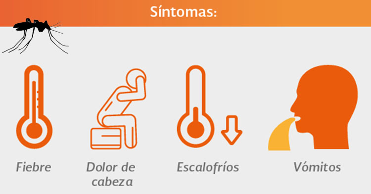 El Día Mundial del Paludismo es una oportunidad anual para destacar los avances realizados en el control de la enfermedad y comprometerse con la continuidad de las inversiones y las medidas para acelerar los progresos contra esta enfermedad mortal. @SRE_mx