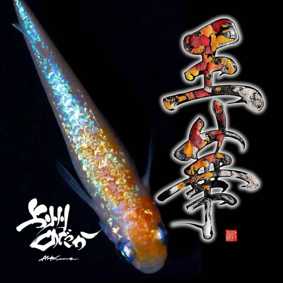 上州めだか tweet media