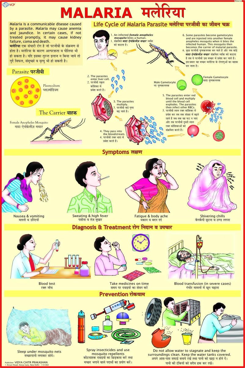 Globally in 2022, there were an estimated 249 million malaria cases and 608 000 malaria deaths in 85 countries. #WorldMalariaDay ।