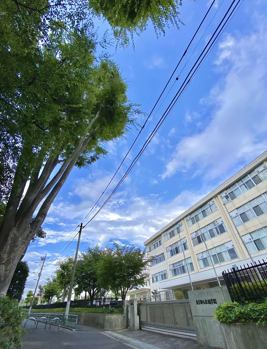 〈特別支援　就業技術科〉
都立永福学園

学科説明会の日程が発表されました。
5月1日（水）〜　申し込み開始です。
eifuku-sh.metro.ed.jp/site/zen/page_…

京王井の頭線　永福町駅 10分
京王線・東急世田谷線　下高井戸駅、 
京王線・井の頭線　明大前駅 12分

#就業技術 #職能開発 #エレファース模擬