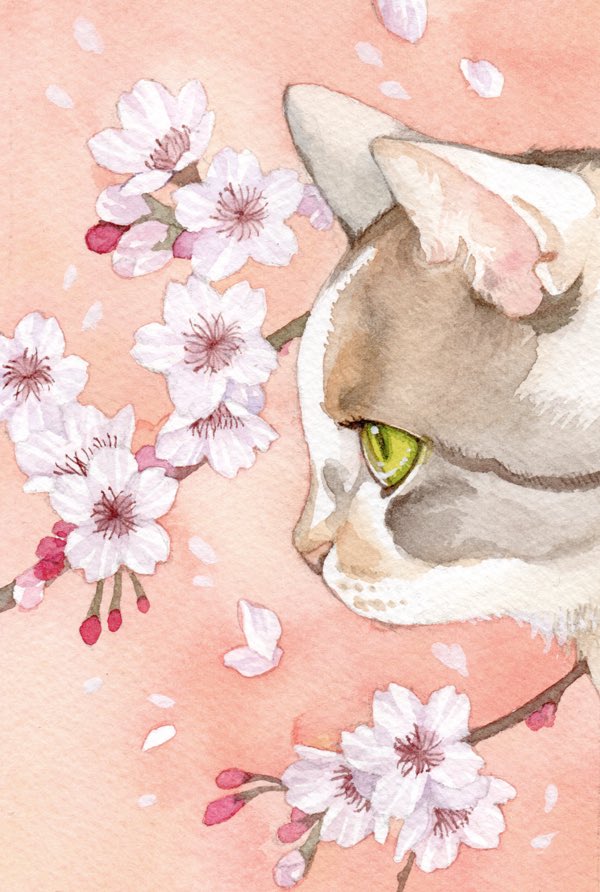 「#見た人は無言で猫をあげる 」|綾坂璃緒(雛希ゆた)のイラスト