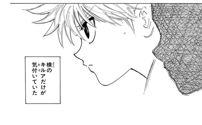 先日の(今もまだやってるっぽいが)集英社セールで買ったハンターハンター読んでるんだけど、キルアの顔があまりにも美し過ぎて気が狂いそう… 