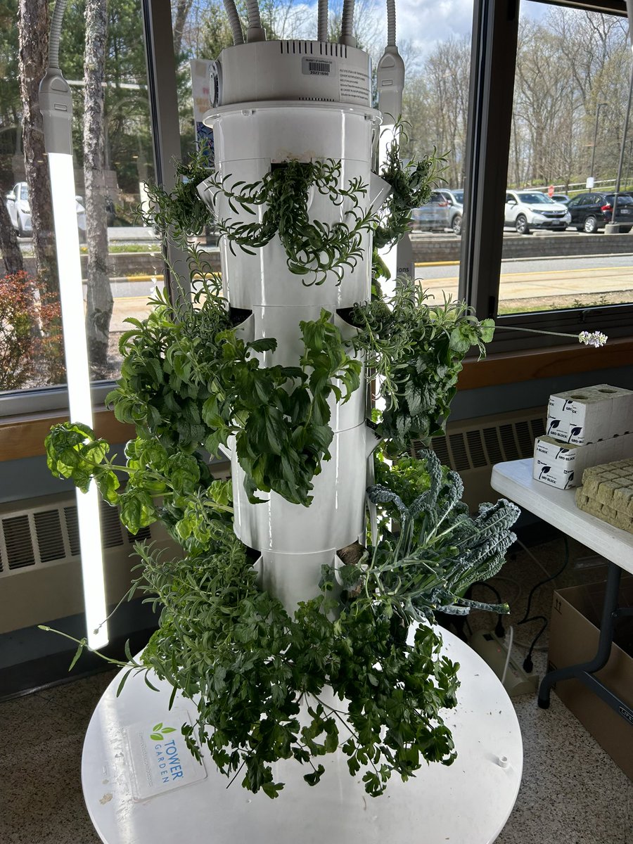 Adam Pease tweet media