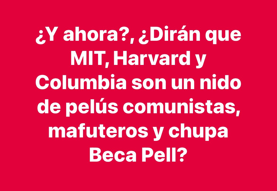802-36-Elimar 🐾 🇵🇷♥️🇱🇧🇵🇸🇮🇷🇨🇺🇻🇪 tweet media