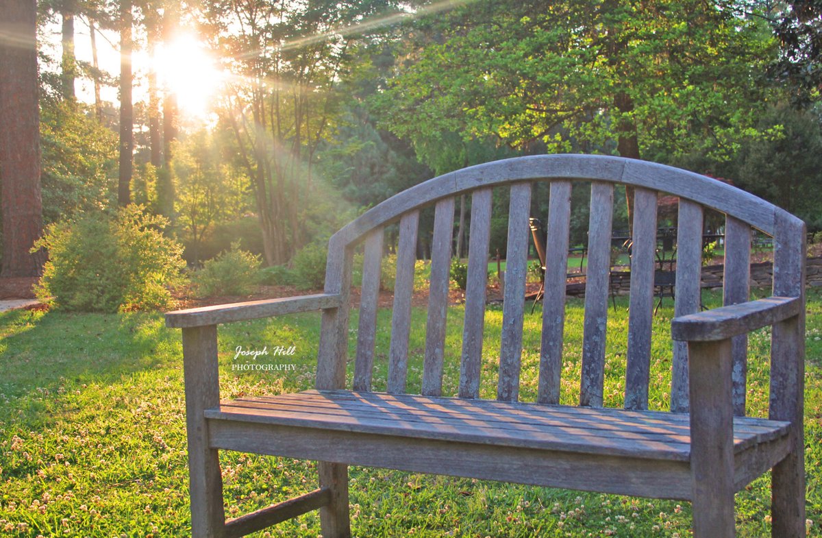 Sunset☀️🌳🪑
#April2024
Photo By: Joseph Hill🙂📸☀️
 
#sunset #bright #evening #sunlight #daylight #trees #bench #nature #beautiful #peaceful #spring #daytime #sunsetphotography #NaturePhotography #WeymouthCenter #SouthernPinesNC #April