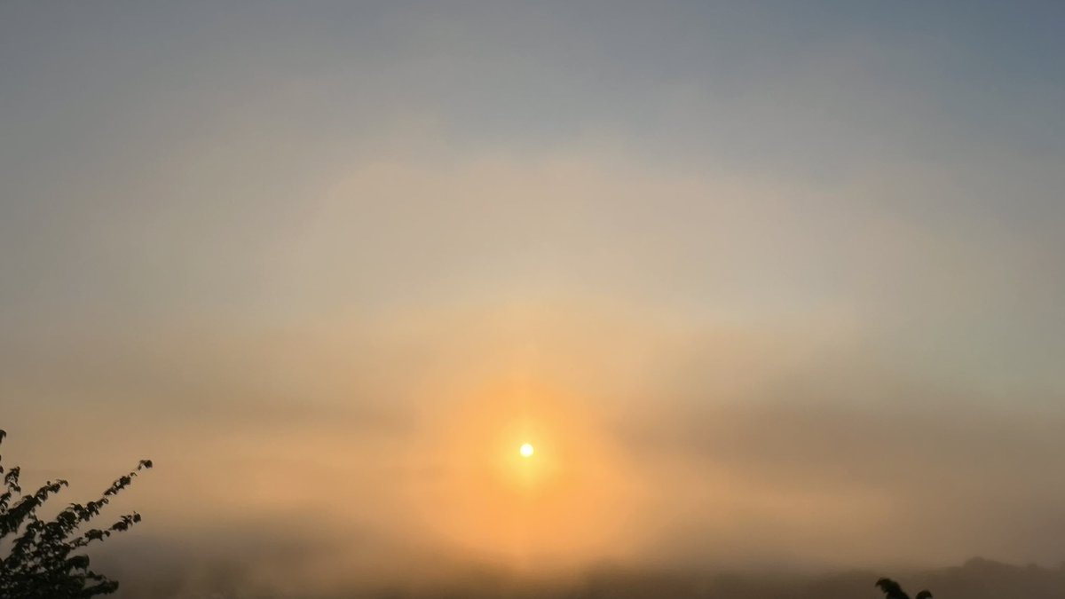 @toyoma16 すごい霧でした。おはようございます！