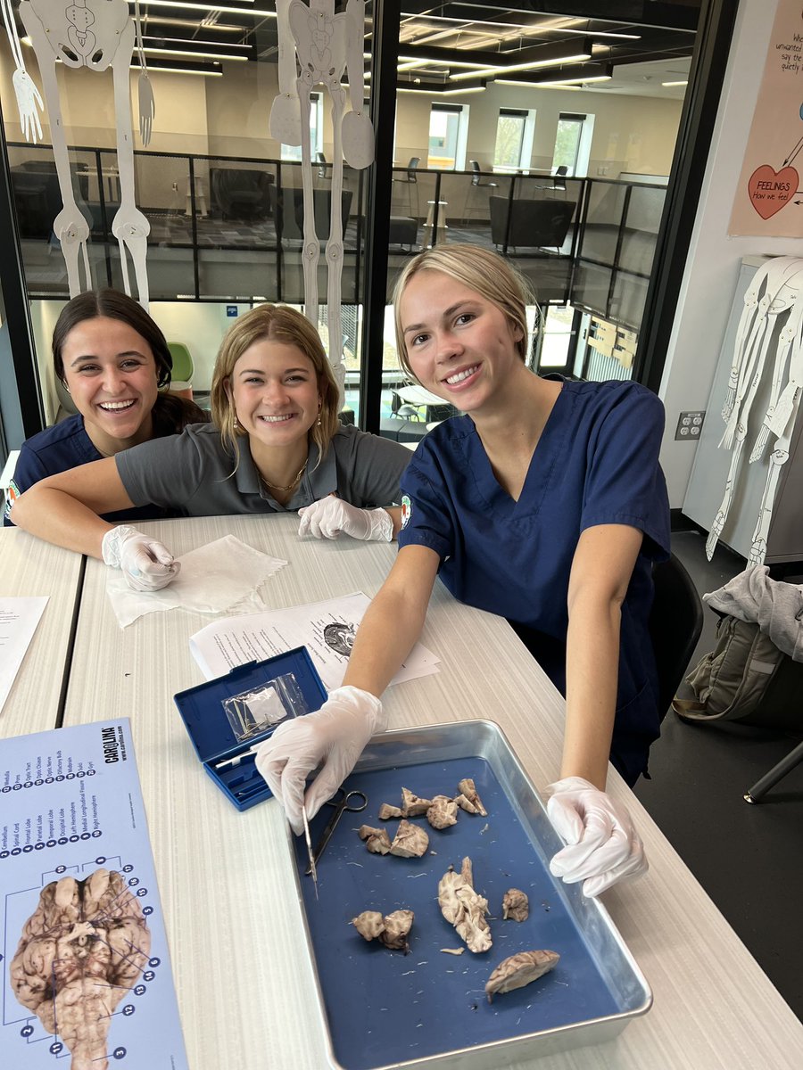 EPIC Health Sciences’ Med Term students put their brains to work this week with a neurological system dissection #thinkingtasks #useyourbrain #thisisEPIC