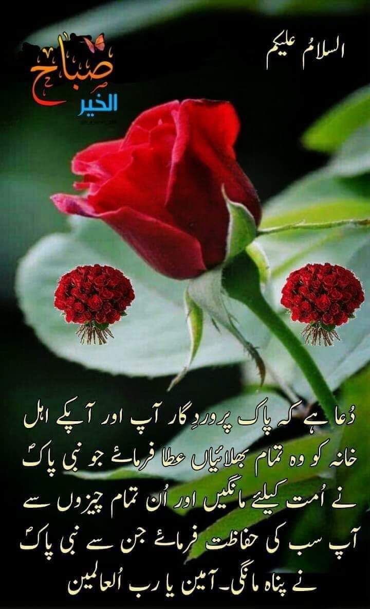 السلام علیکم ورحمتہ اللہ وبرکاتہ ۔ 🌹🌸صبح بخیر🌸🌹 اپنے ہاتھ سے کی ہوئی نیکی اور دوسرے سے سرزد ہونے والے گناہ کا تزکرہ کسی سے نہ کرو یہ تمہارے کردار کا امتحان ہے- #X_promo #SB19 #المني #ACL