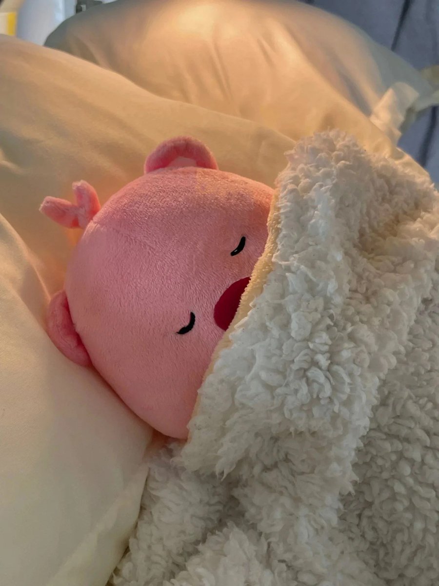 Liuc19856162's tweet photo. Good night😴 #goodnight #goodnight #happy https://t.co/S7eGKH6Rki