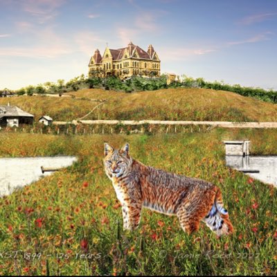 Tom Madden tweet media