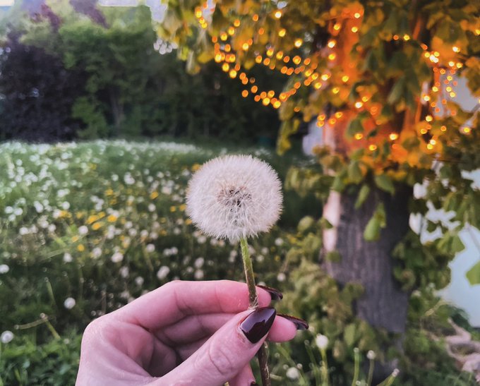 I didn’t have birthday candles so I took a chance and blew out my wishes with this. 💨 🤍 https://t.co