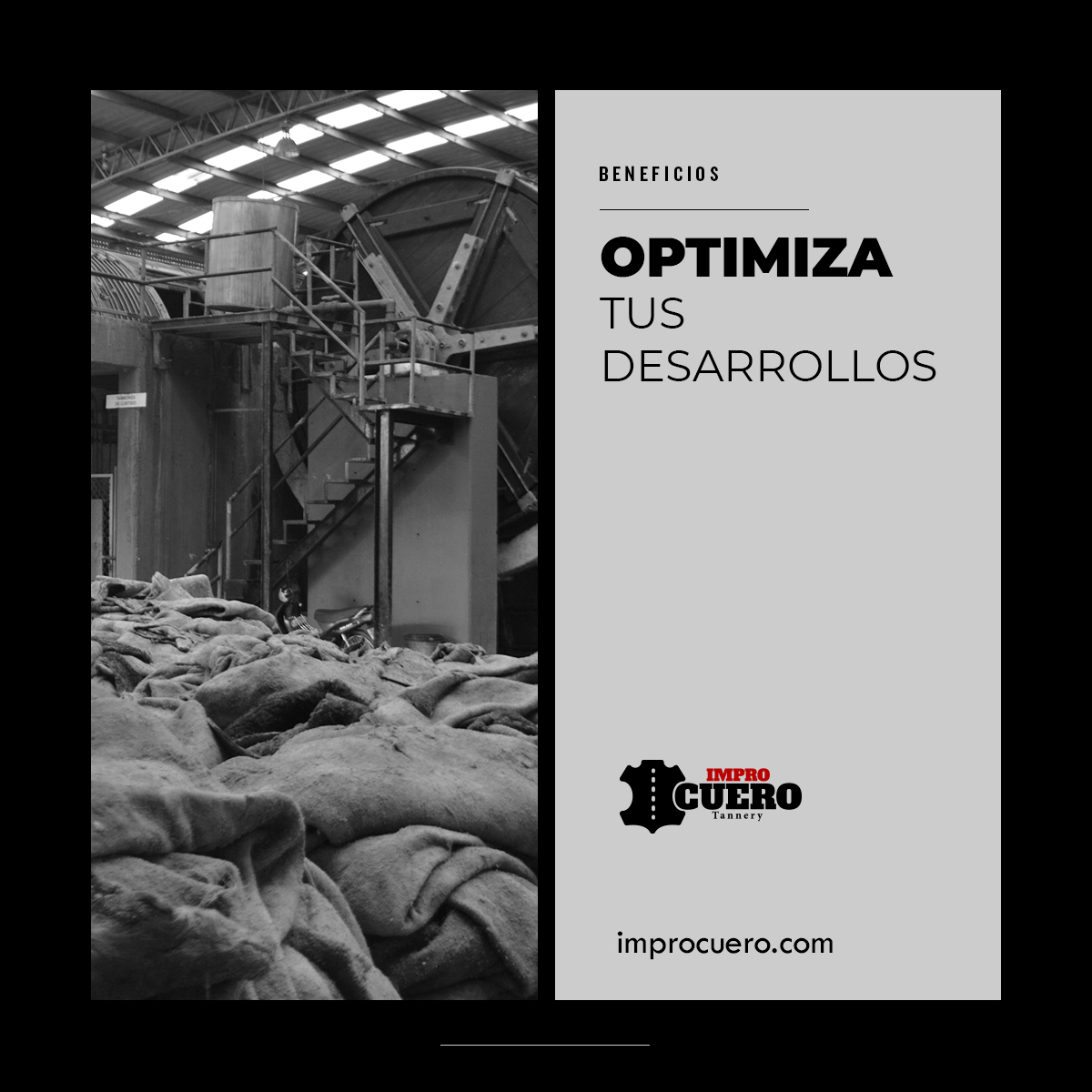 improcuero's tweet photo. Con ImproCuero podrás optimizar tus desarrollos y enfocarte en lo que mejor dominas.

Visita nuestra web: https://t.co/KSSZZnoUDa

#ImproCuero #Pieles #Leather #LeatherCompany #Tannery #Tenería #Curtidos https://t.co/ko9U0WQmTc