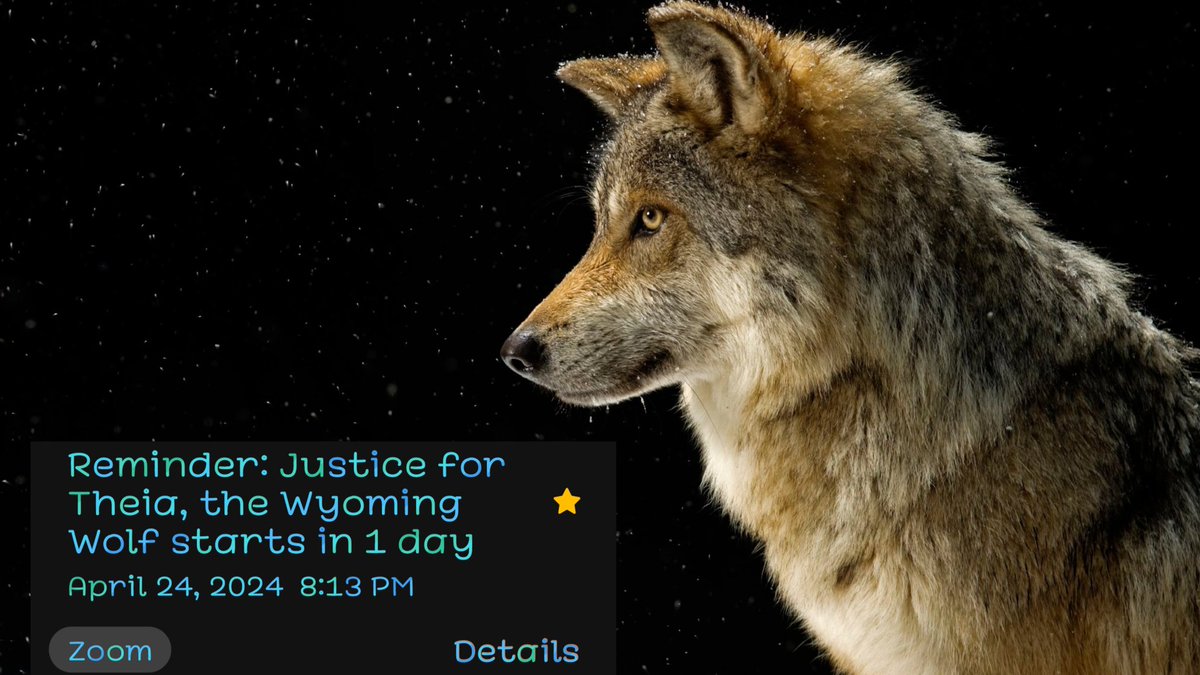 Tomorrow night, we start getting #JusticeForTheia ‼️ 🌠⚖️ @AWAction_News @TheHumaneCenter 

#ChargeCodyRoberts #CodyRoberts #AnimalCruelty #wolf #WolfWednesday #Wolves #AnimalWelfare #AnimalRights #animallivesmatter #animallaw #animals #AnimalsLover #animallover #AnimalLovers