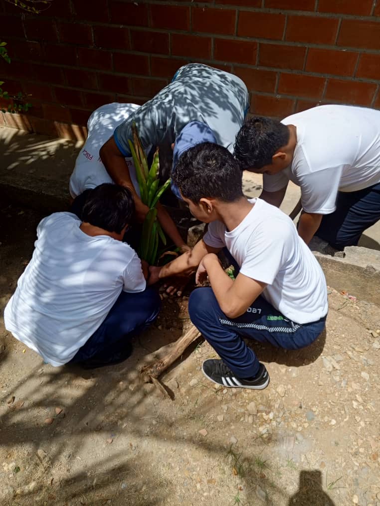 cdcepazcastillo's tweet photo. En el IEE. Dr.José Gregorio Hernández, a pocos días de la conmemoración del fallecimiento del profesor Aristóbulo Istúriz, se plantaron Lirios en su honor 

@NicolasMaduro @_LaAvanzadora @MPPEDUCACION @rosabecerra3 @ZYSEGMIRANDA https://t.co/9j1nXvG6B1