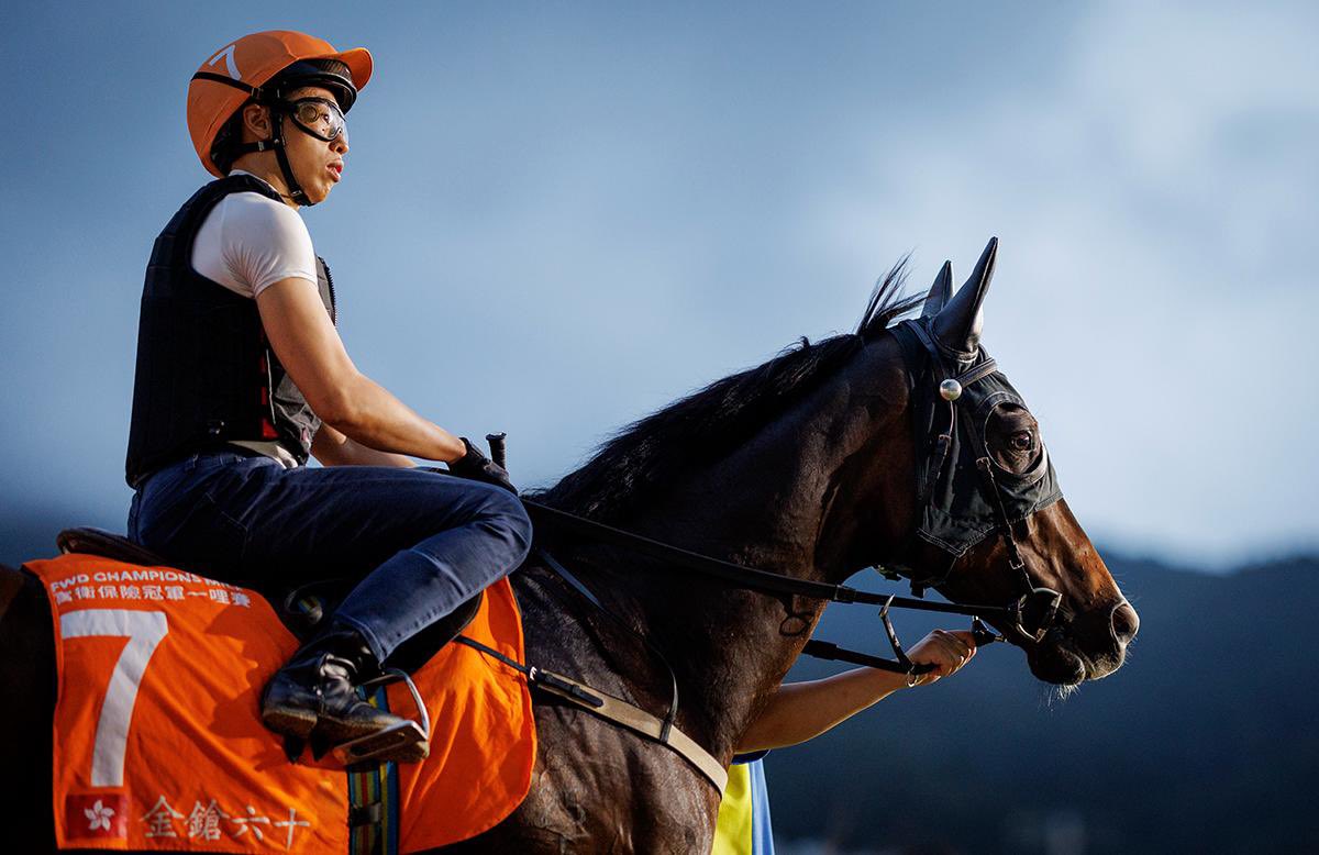 The 🌏’s highest earning horse, Golden Sixty! 💙🤍💛 

📸 @A_Evers | #FWDChampionsDay | #HKracing