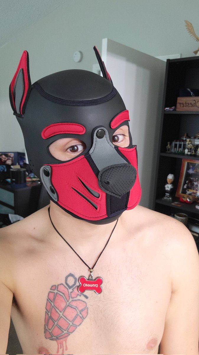 Pup Dynamo tweet media