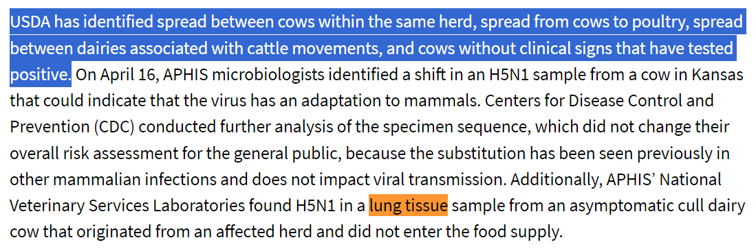 Confirmation of asymptomatic H5N1 infection from a lung tissue sample. Should really ramp up testing of cows without clinical signs. @thijskuiken @angie_rasmussen @PeacockFlu @florian_krammer @MichaelWorobey @MarionKoopmans usda.gov/media/press-re… aphis.usda.gov/sites/default/…