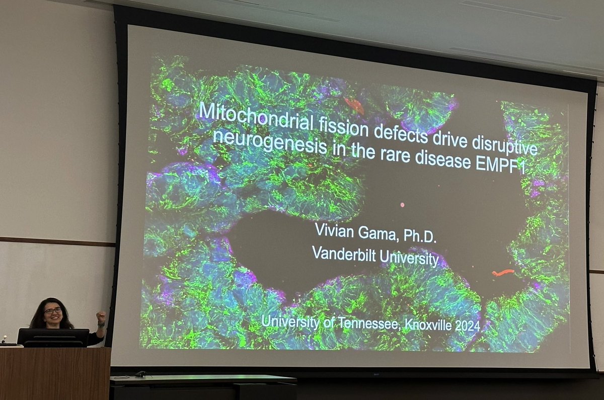 Amit Joshi tweet media