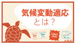 Fihes_Fukuoka's tweet photo. 1分で知る #気候変動適応 !
#国立環境研究所 #気候変動適応センター #APLAT
⬇️⬇️⬇️
https://t.co/WJHaJ638AW https://t.co/LwL0KBAwk1