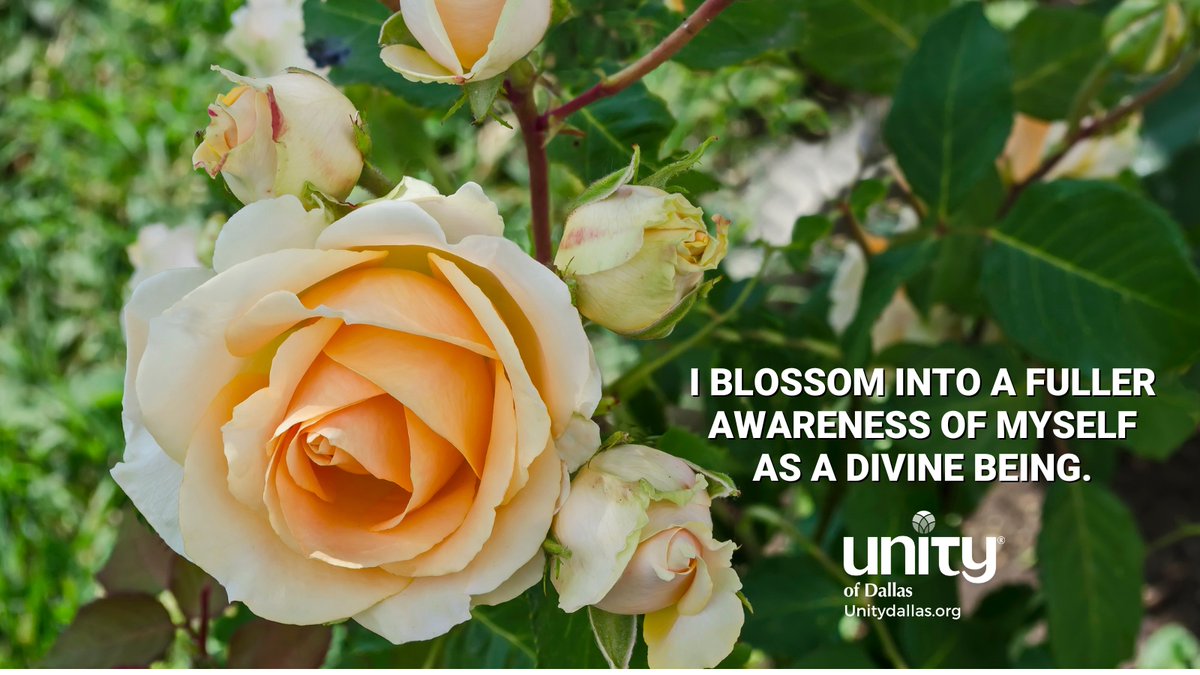 Blossom

“I BLOSSOM INTO A FULLER AWARENESS OF MYSELF AS A DIVINE BEING.”
-  Dailyword.com
#DailyWord #Unity #UnityDallas #Blossom