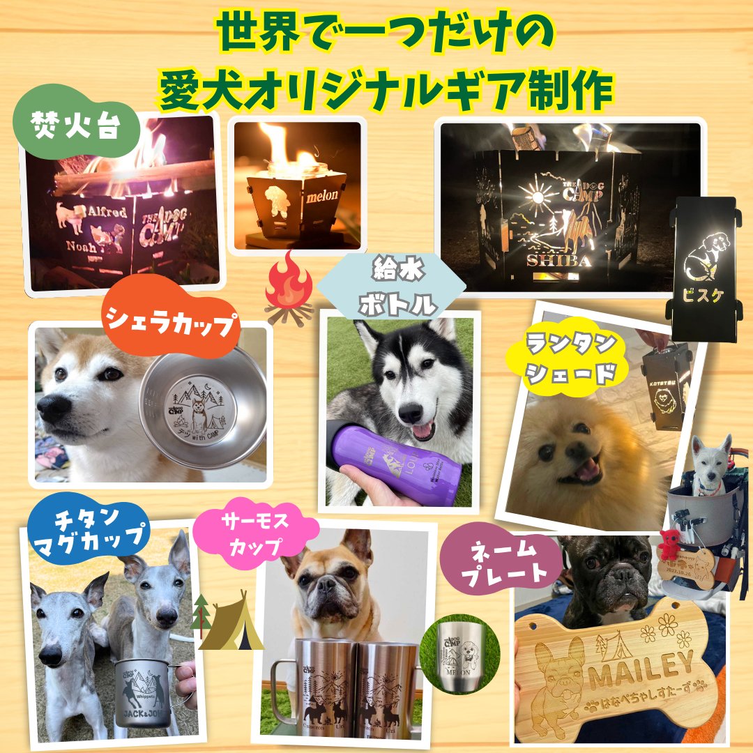 kei_thedogcamp tweet picture