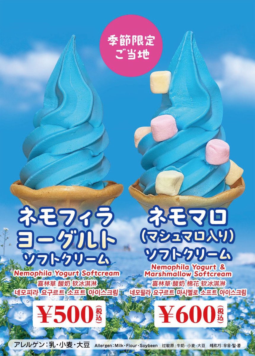 プレジャーガーデンでもネモフィラ🩵を楽しんじゃお💙💐 期間限定で