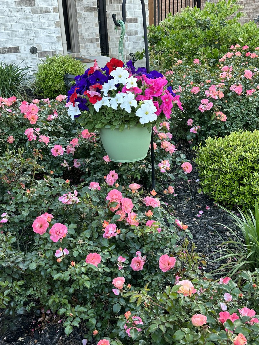 There is nothing quite like spring time in Texas! I am loving these beautiful and fragrant blooms! 🥰🌸🌹🌺🌼🌷

#thewoodlands #springtx #magnoliatx #lakeconroetx #montgomerytx #tomballtx #houston #houstonrealtor #realtor #realestate #dreamhome #springtime #texasrealtor #nofilter