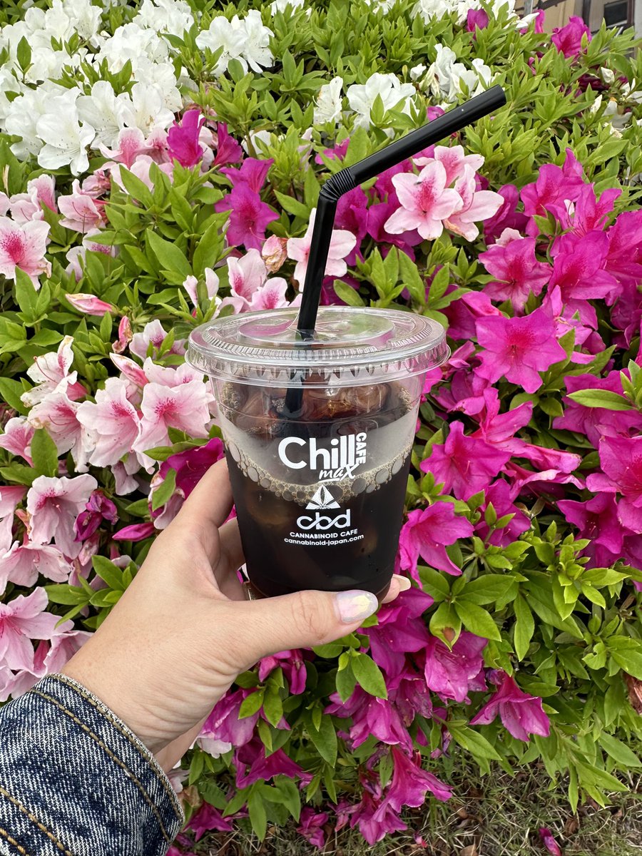 ChillmaxCAFE's tweet photo. Chillmax  リキッド🍯
Chillmax ティンクチャーオイル
CBD入り☕️

ホッと一息つきたい時
質の高い睡眠を取りたい時
ストレスを解放したい時
入眠前にもオススメ

最高品質のカンナビノイドのみを使用✨

Chillmax CAFE 10:00-21:00
https://t.co/FU4s7S6JEa…

#Chillmax
#CBD
#CBN
#CBG
名古屋手押し https://t.co/uATzGtuzDo