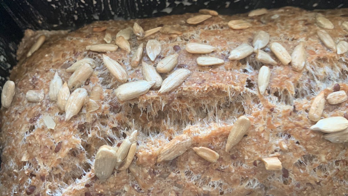 MaciejKoterba's tweet photo. @LetsGROWdao @LetsGROWdao #Live baking sessions!!! #FreshBread is done! soon #nftbread ! #ItGrew! #GG20 #Gitcoin #LetsGROW https://t.co/0XGeGpFFpZ