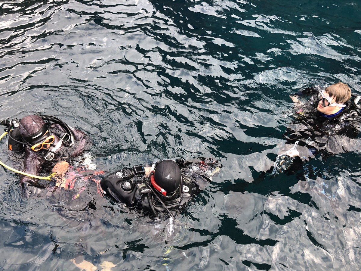 denisaquatic tweet picture