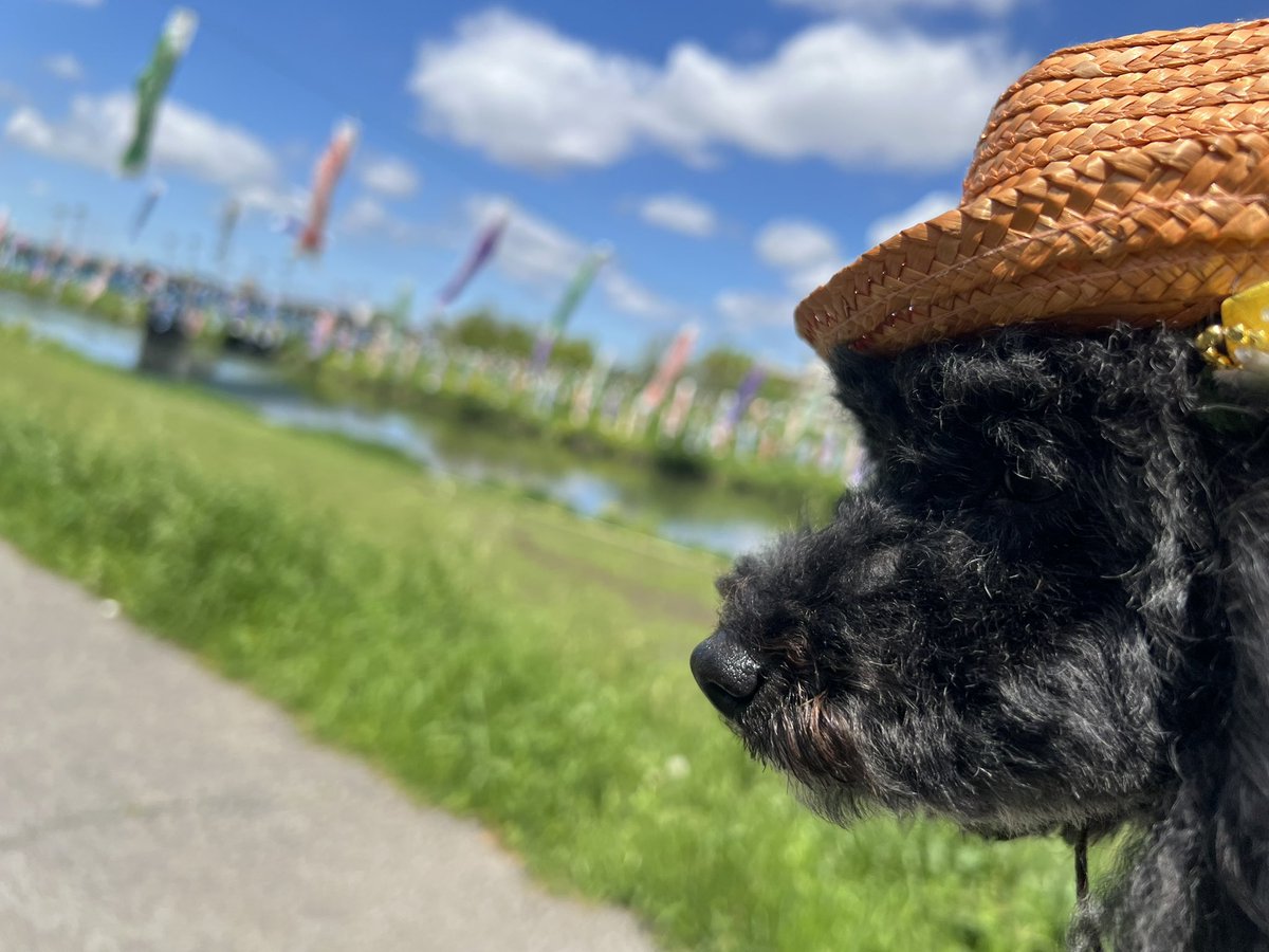 御朱印サイクリング