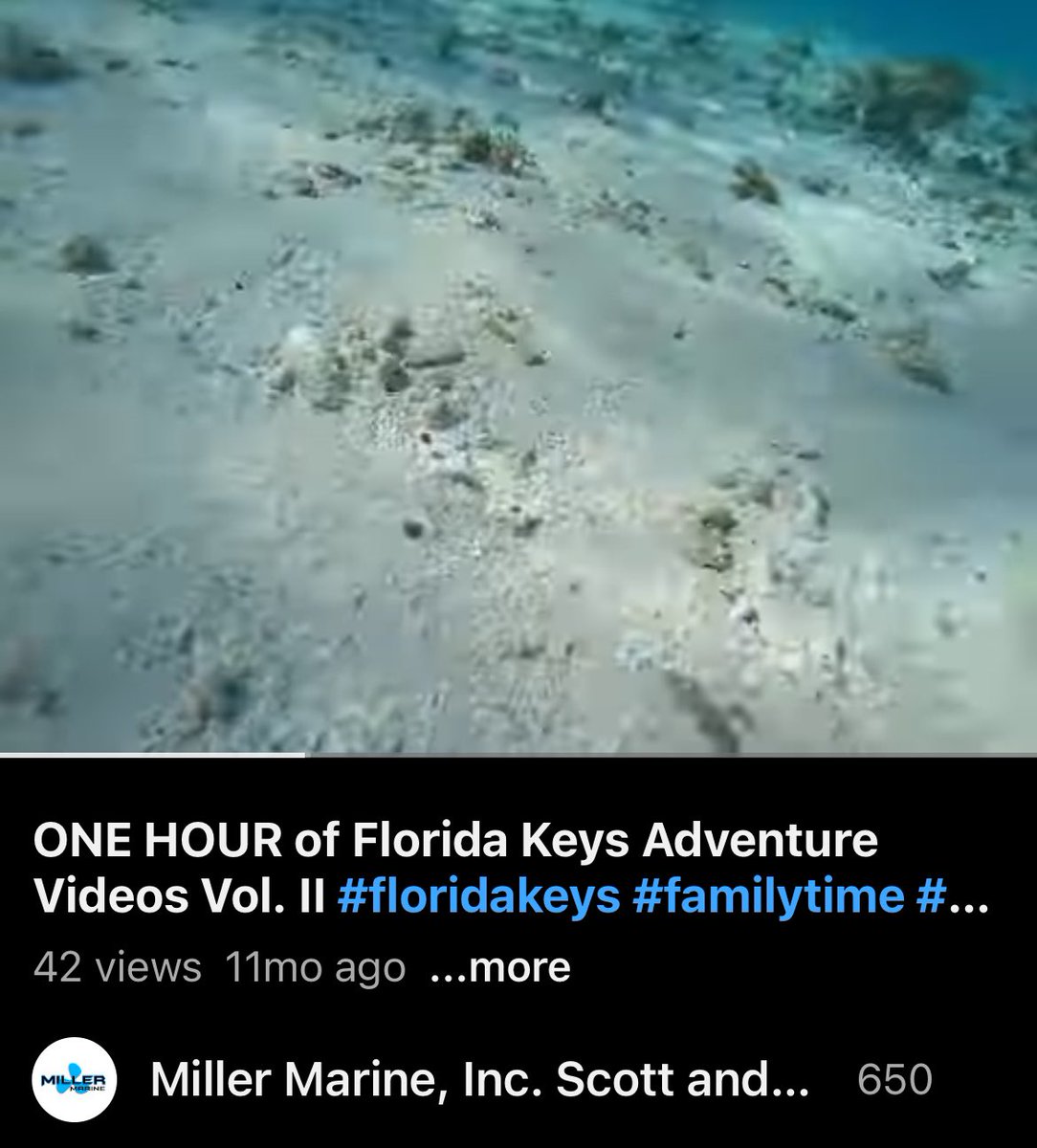 youtu.be/yoBB3PpW4As?si…

#floridakeys #coralreefs #snorkeling #fish #sharks #islamorada #matecumbe #barracuda