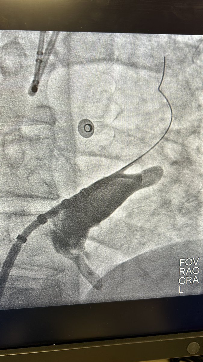 Eduardo Saad tweet media