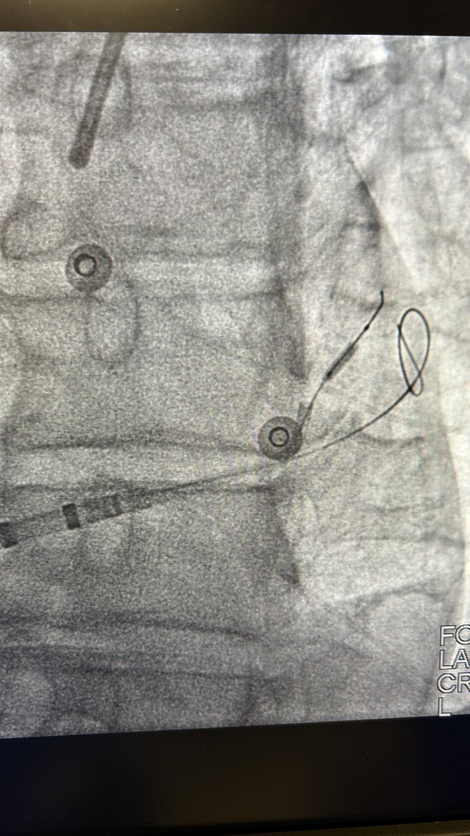 Eduardo Saad tweet media