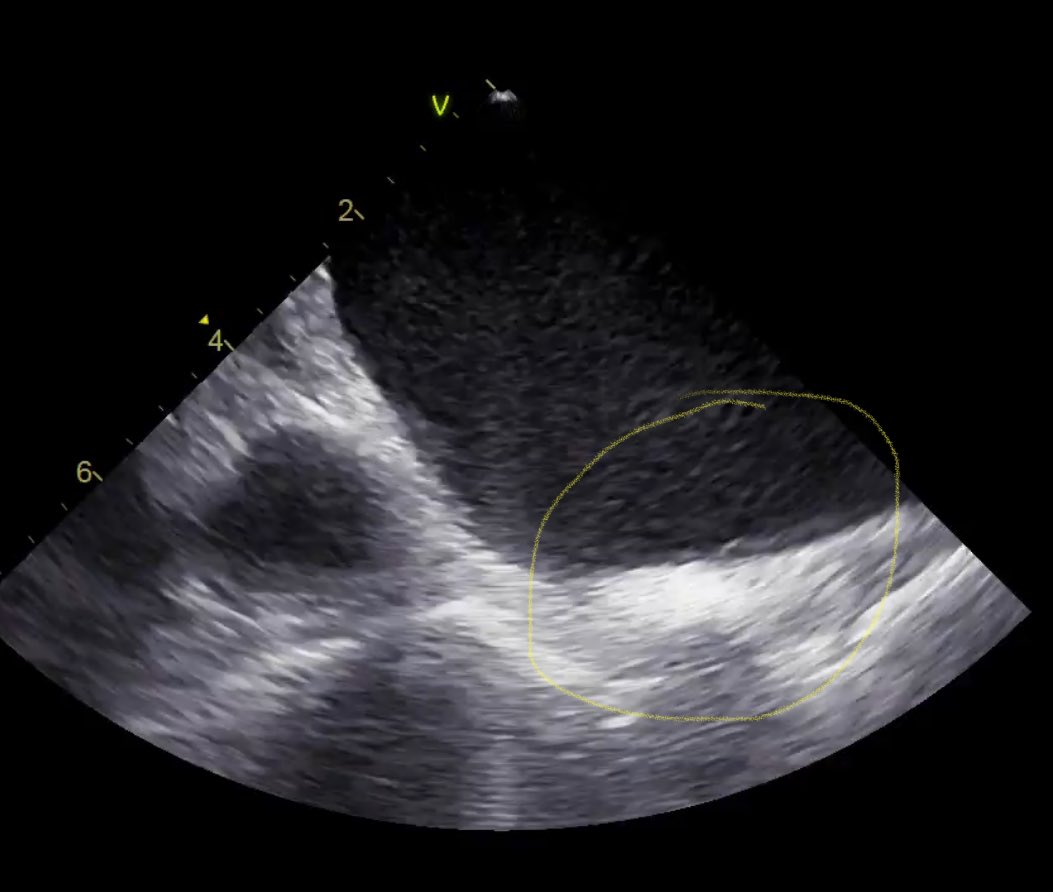 Eduardo Saad tweet media