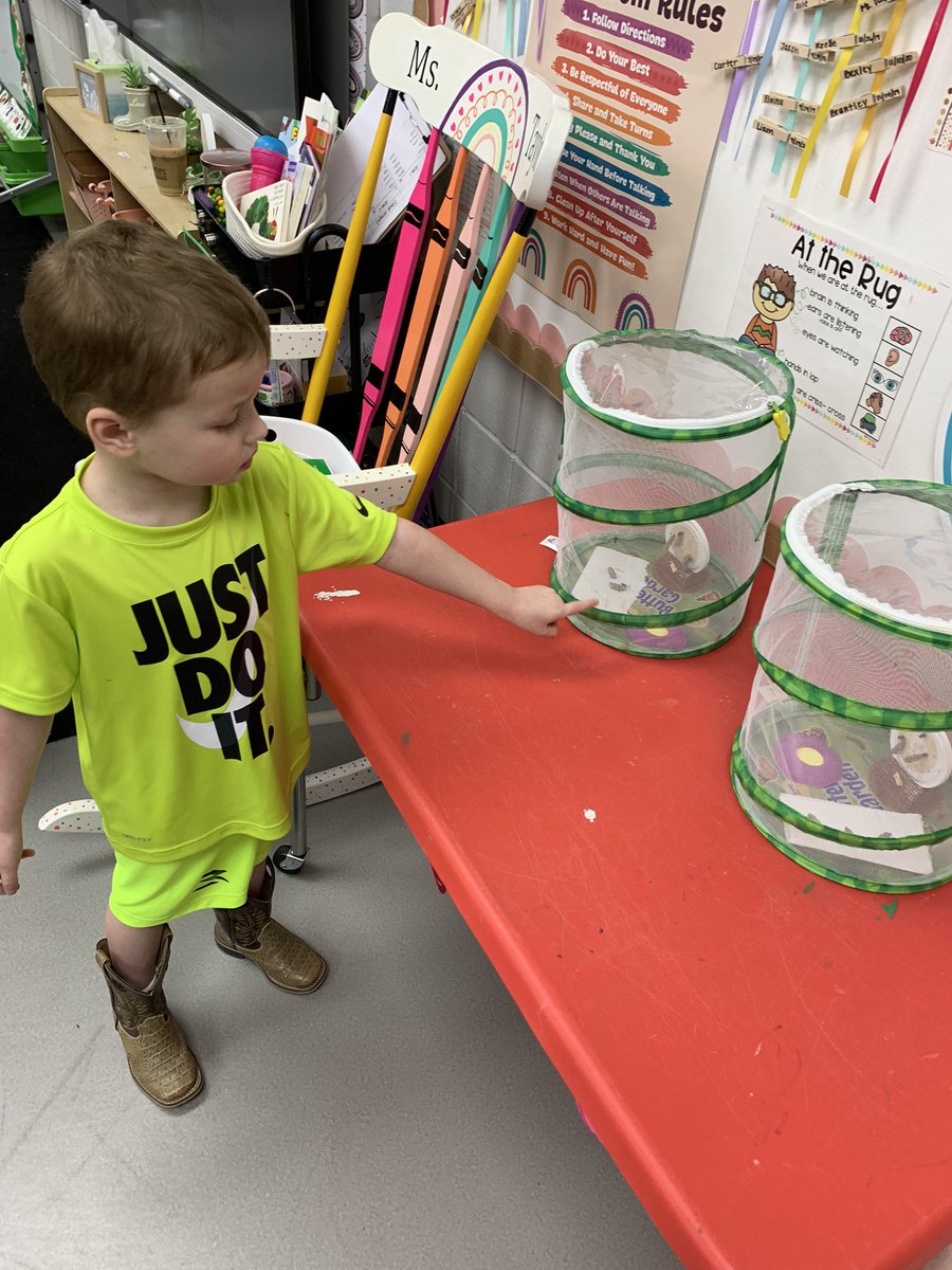 MPreschoolers's tweet photo. We love learning all about the butterfly lifecycle and watching our caterpillars grow and change! 🐛🦋💚 #littlezeps #gozeps #preschool #insects #butterflies https://t.co/ceVnQ4ti1s