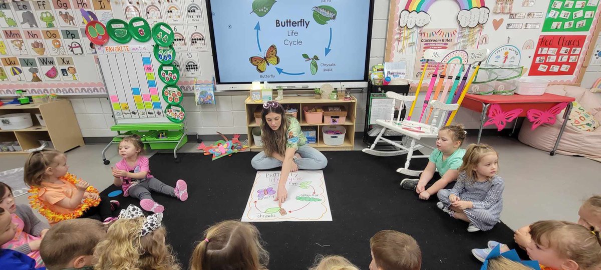 MPreschoolers's tweet photo. We love learning all about the butterfly lifecycle and watching our caterpillars grow and change! 🐛🦋💚 #littlezeps #gozeps #preschool #insects #butterflies https://t.co/ceVnQ4ti1s