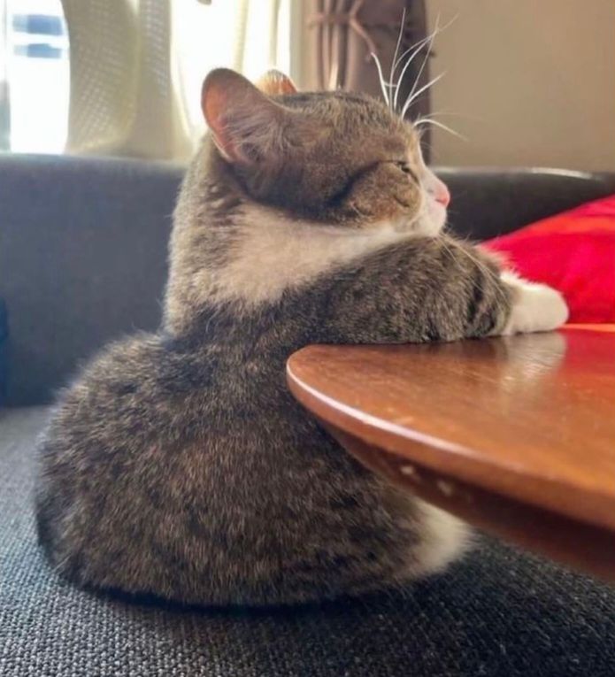 hello i would like to have one cheeseburger please and thank you
