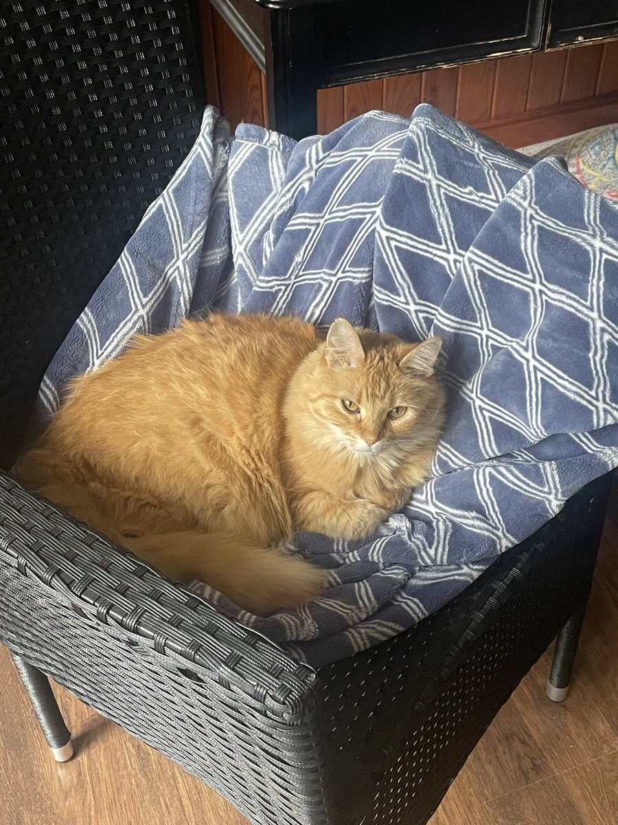 Connor Lee tweet media