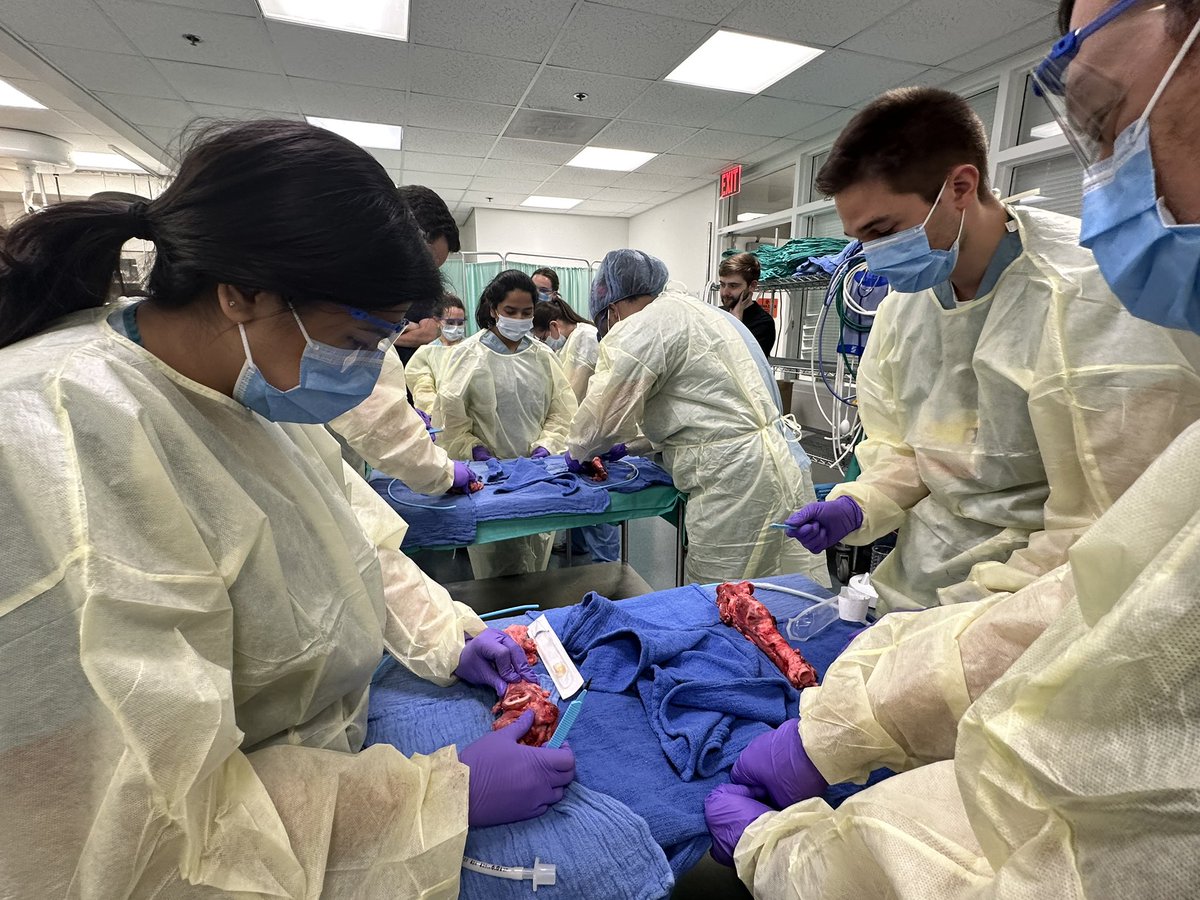 UHCMC_ED's tweet image. One of our favorite days in #EMconf, Cadaver lab/#HALO procedure day! Huge thank you to our many EM faculty &amp;amp; amazing trauma colleagues for their time &amp;amp; expertise, and shoutout to #MedEd fellows @emilykcraft &amp;amp; @MLMullins59 for putting it all together! #CLErising #Believeland