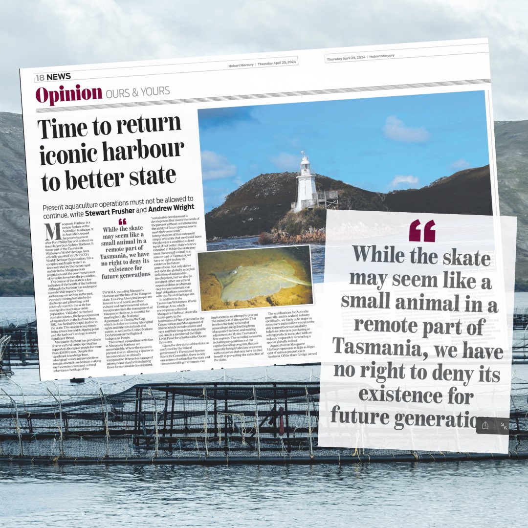 A brilliant article in the Mercury today, highlighting exactly why @tanya_plibersek has to remove fish farms from Macquarie Harbour. A thread 🧵 :