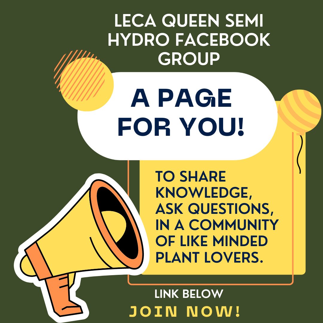 TheLecaQueen's tweet photo. Do you want to join a group of like-minded people who grow plants using leca clay balls and share their experiences in a safe space? Then The 'Semi Hydro with The Leca Queen' Facebook group is the group for you! Join NOW! https://t.co/f93PGk2mUq https://t.co/HLWgJvin9b