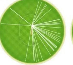 This was the wagon wheel of boundaries ! #Sachin
