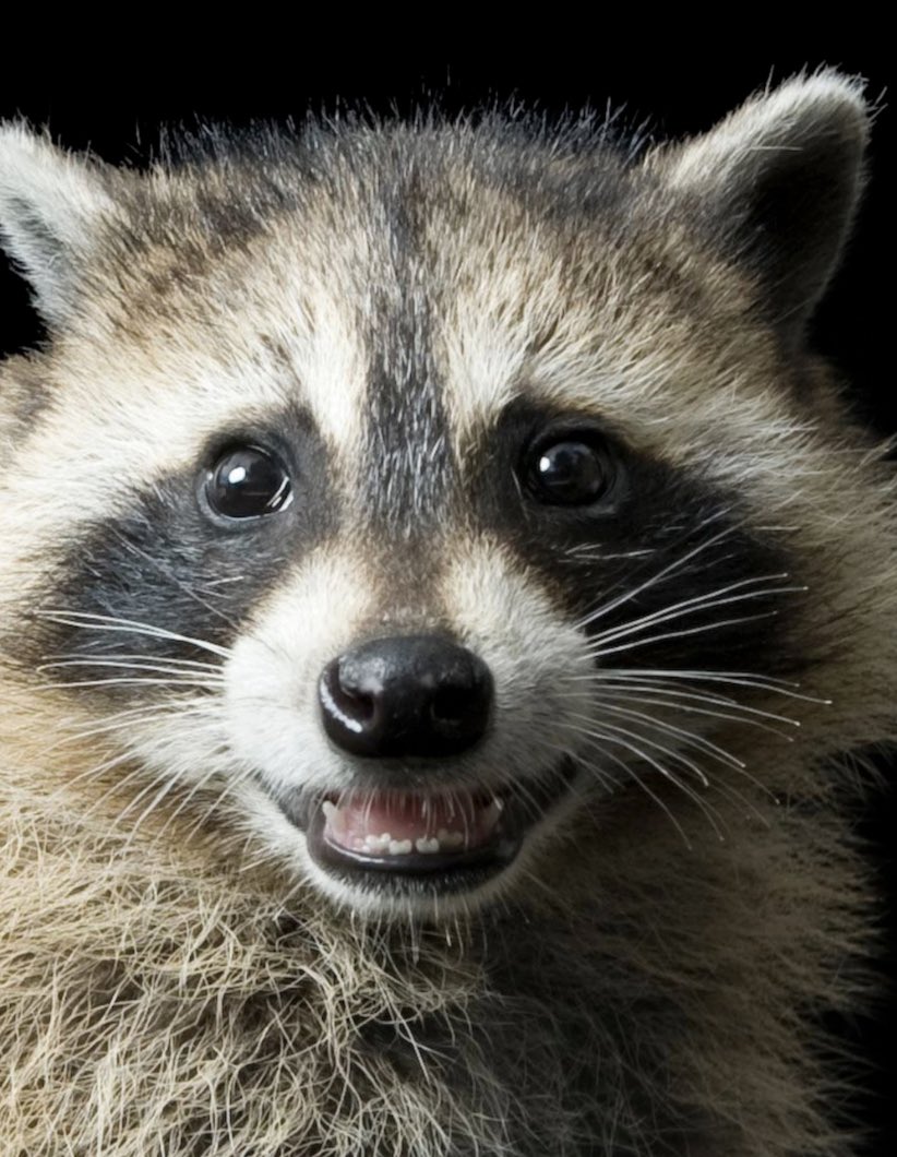 The Ladder 🪜🔺 tweet media